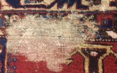 How can I protect my rugs against bugs?
