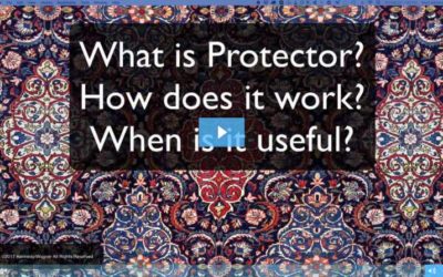 What is Protector?
